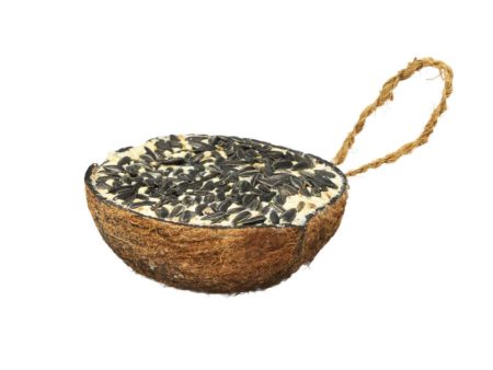 A & E Cages Garden & Fun Half Coconut w Suet & Black Oil Sunflower Bird Treat 1ea 290 g Discount