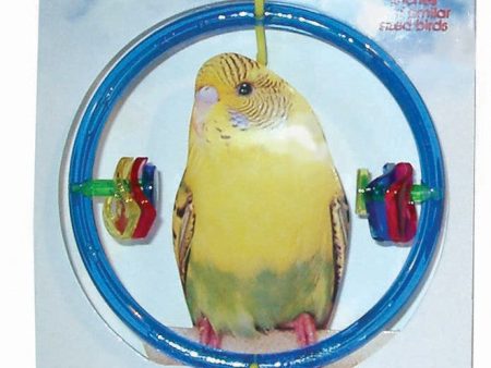 JW Pet ActiviToy Ring Clear Bird Toy Multi-Color 1ea SM MD Hot on Sale