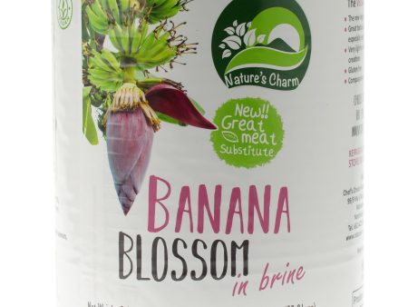 Banana Blossom in Brine BULK 2.9kg on Sale