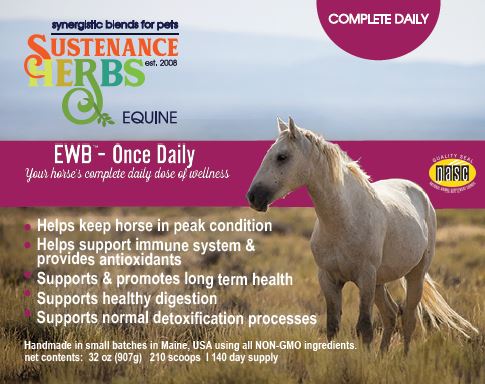 EWB™-Once Daily Cheap