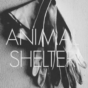 Animal Shelter: Issue 2 Fashion