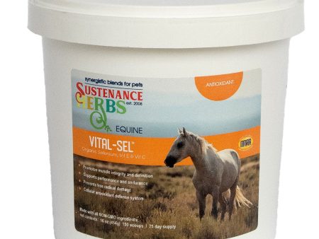 Vital-Sel™ Hot on Sale