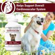 Vet Classics Cardiovascular Support Supply