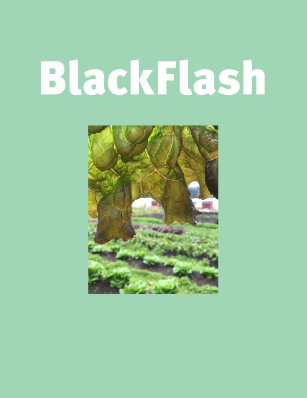 BlackFlash 38.1 Online Hot Sale