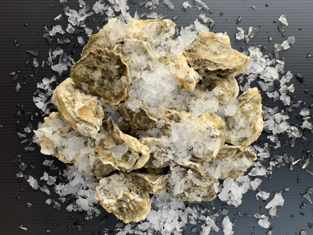 Kumamoto Oysters, Washington - 60 Count For Cheap