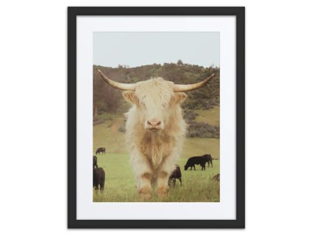 White Highland, Framed poster Online