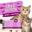 Earthborn Holistic Grain-Free Wet Canned Cat Food Fashion