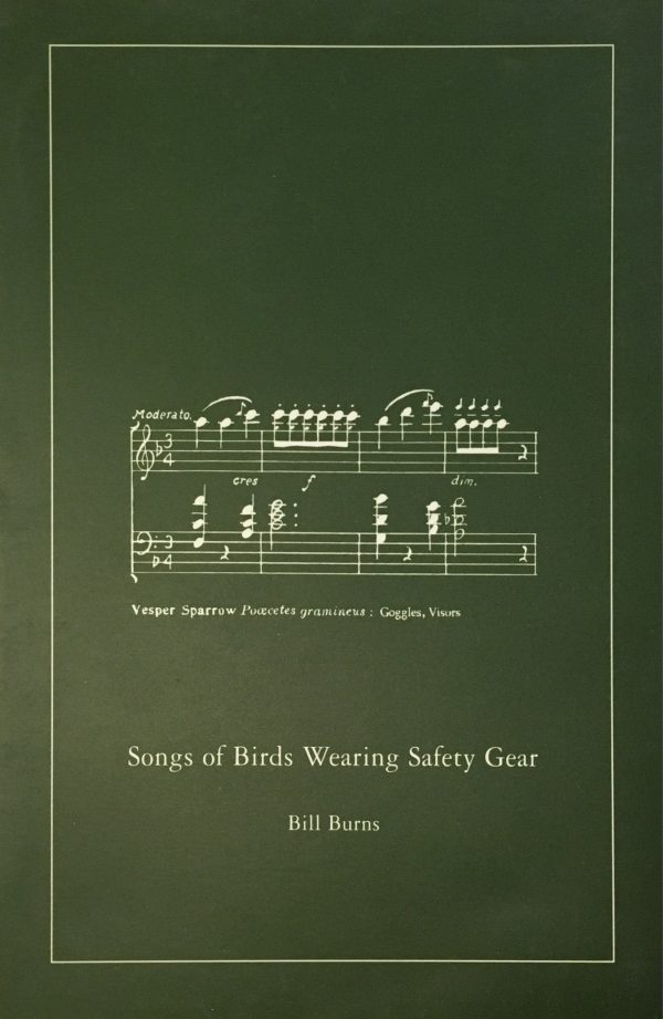 Bill Burns: Songs of Birds Wearing Safety Gear Hot on Sale