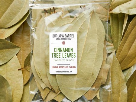 Cinnamon Tree Leaves Online Sale