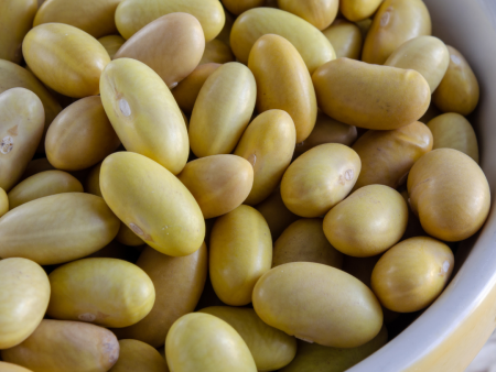 Organic Peruviana Heirloom Beans Online