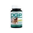 American Biosciences DGP Joint Support Chewable Tablets for Dogs & Cats Cheap