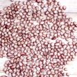 Organic Mayflower Heirloom Beans Online Sale