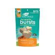 Ark Naturals Breath Bursts Brushless Toothpaste For Dogs Supply