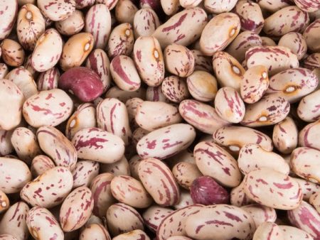 Organic Cranberry Beans - Regeneratively Farmed Sale