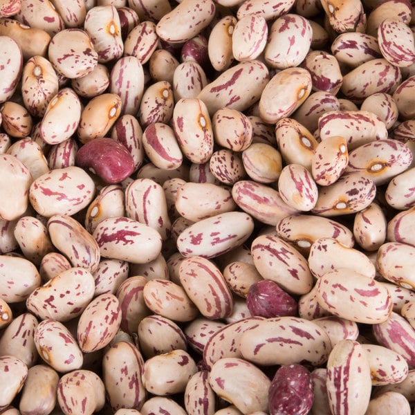 Organic Cranberry Beans - Regeneratively Farmed Sale