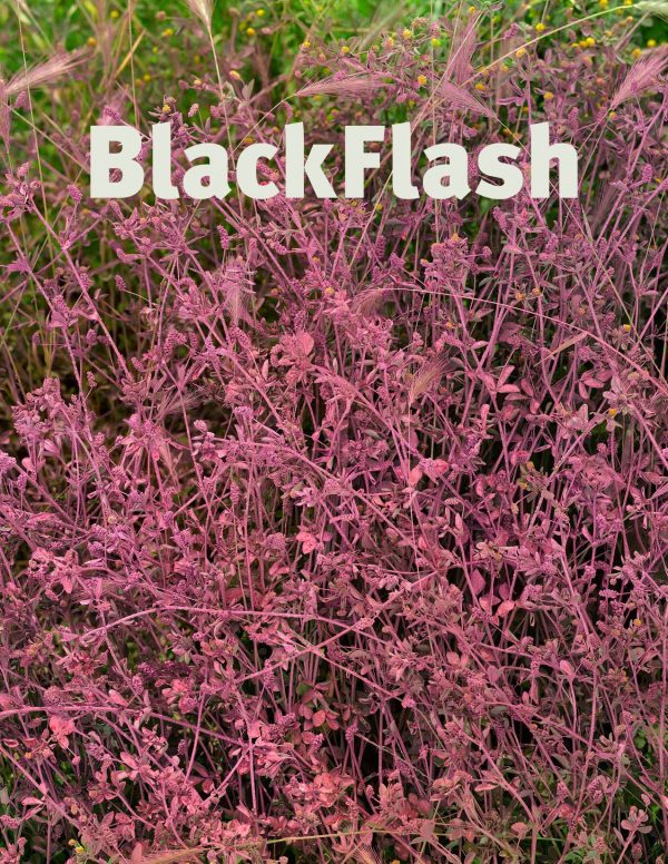 BlackFlash 37.2 Fashion