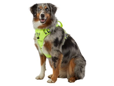 Arcadia Trail Yellow Neoprene Sport Harness for Dogs on Sale