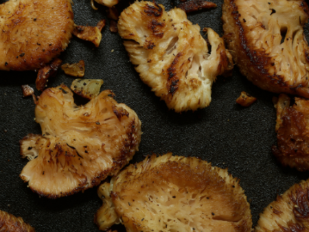 Dehydrated Lions Mane Mushroom on Sale