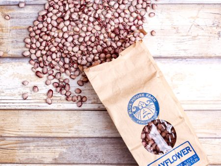 Organic Mayflower Heirloom Beans Online Sale