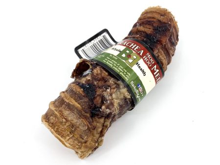 BarkNBig Beef Trachea Dog Chew Hot on Sale