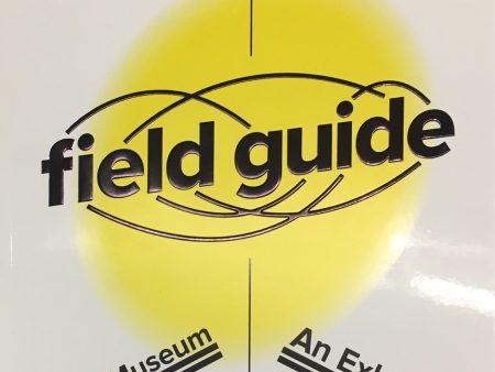 Remai Modern Field Guide Online