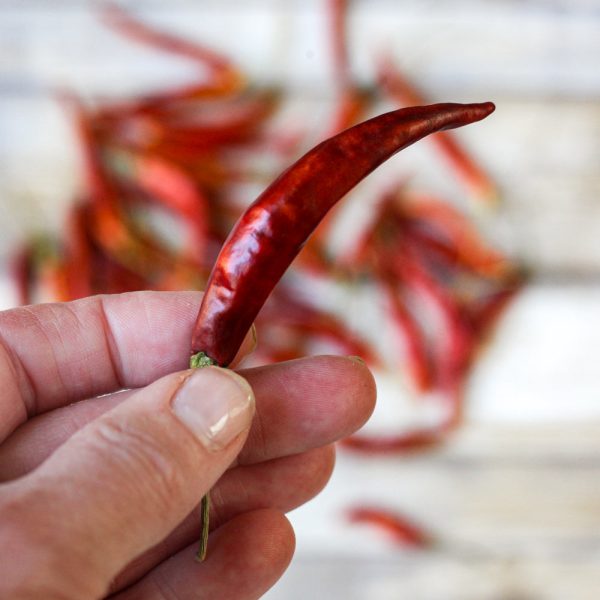 Whole Dried Yahualica Chile Peppers on Sale