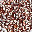 Snow Cap Heirloom Beans For Sale