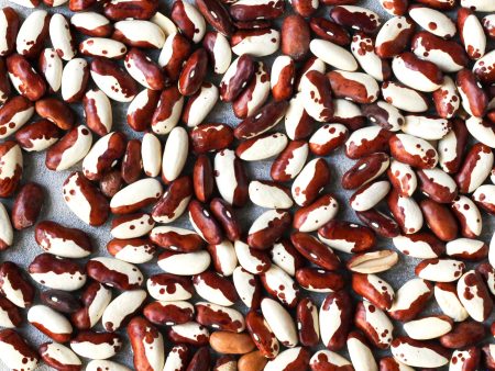 Snow Cap Heirloom Beans For Sale