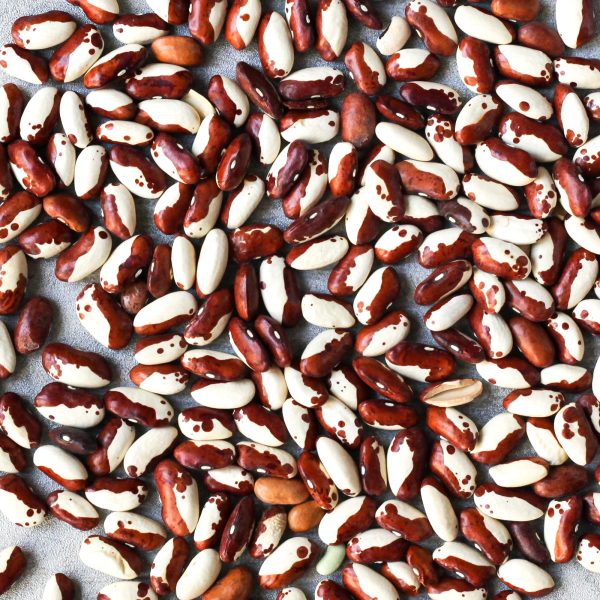 Snow Cap Heirloom Beans For Sale