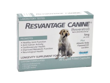 Resvantage Resveratrol Online