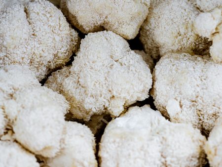 Lions Mane Mushroom For Discount