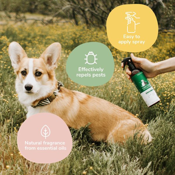 Kin + Kind Flea & Tick Protect Spray for Dogs & Cats For Cheap