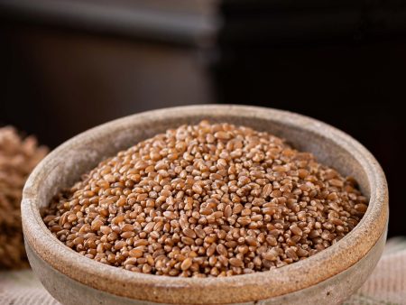 Hard Red Spring Wheat Berries Online