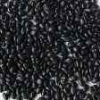 Organic Oaxacan Black Beans Supply