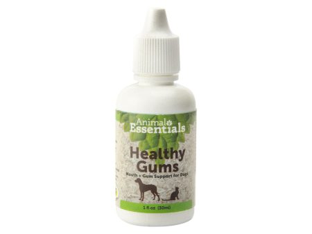 Animal Essentials Healthy Gums & Mouth Support Liquid for Dogs Sale