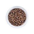 Korerima | Black Cardamom Cheap