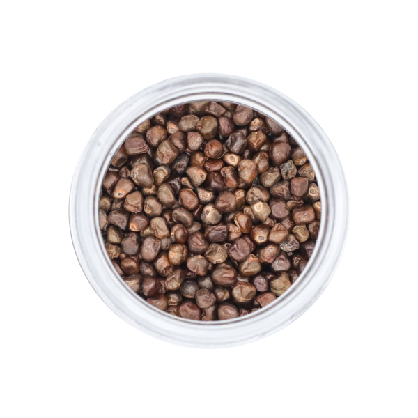 Korerima | Black Cardamom Cheap