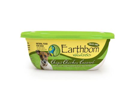 Earthborn Holistic Moist Grain-Free Stew Wet Dog Food For Sale