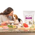 Dr. Harvey s Paradigm Superfood Pre-Mix Dog Food Hot on Sale