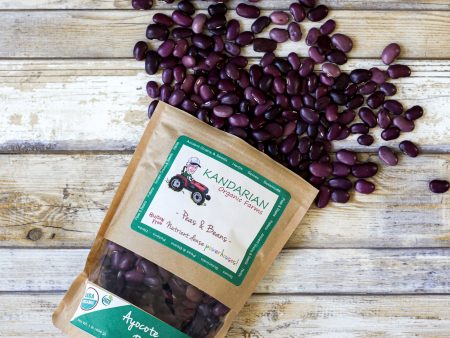 Organic Purple Ayocote Beans Discount