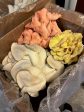 Golden Oyster Mushroom For Sale