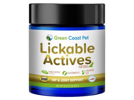 Green Coast Pet Lickable Actives Hip & Joint Functional Peanut Butter Treat for Dogs Supply